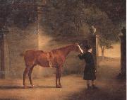 John Ferneley Mr Wombell's Hunter with a Groom in a Courtyard Sweden oil painting artist